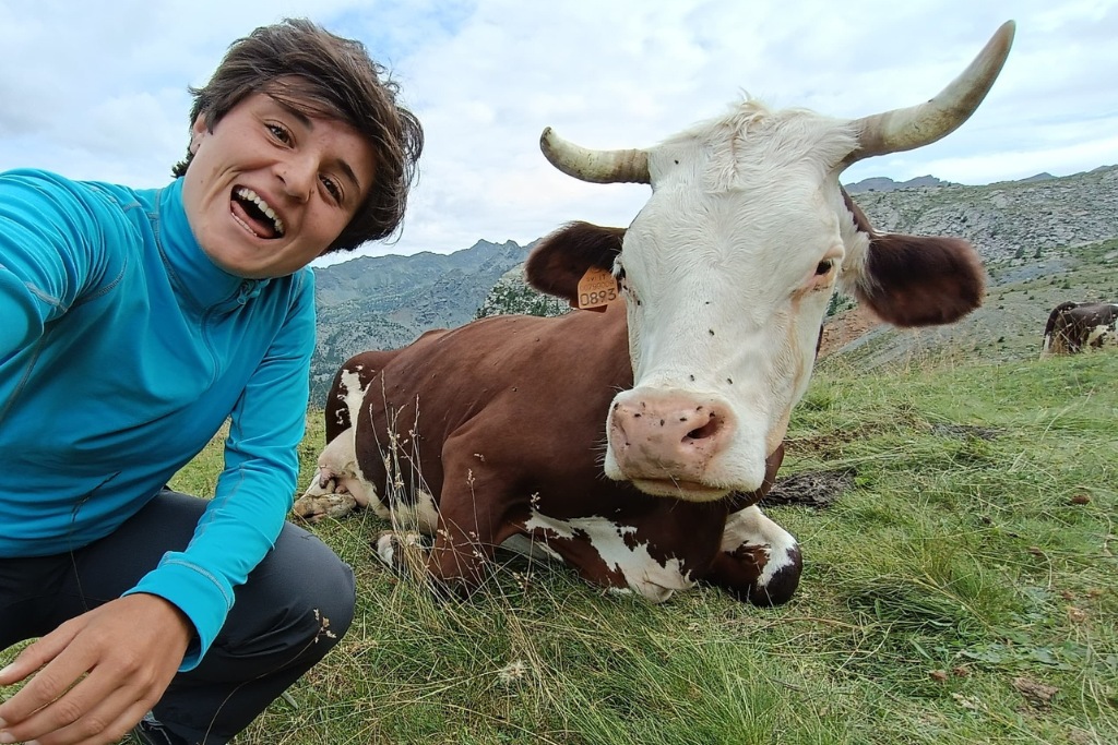 Lassù fra le montagne, con i volontari di “Pasturs”: un volontario accanto a una mucca