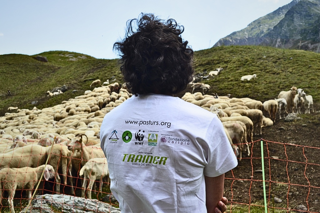 Lassù fra le montagne, con i volontari di “Pasturs”: una volontaria di spalle