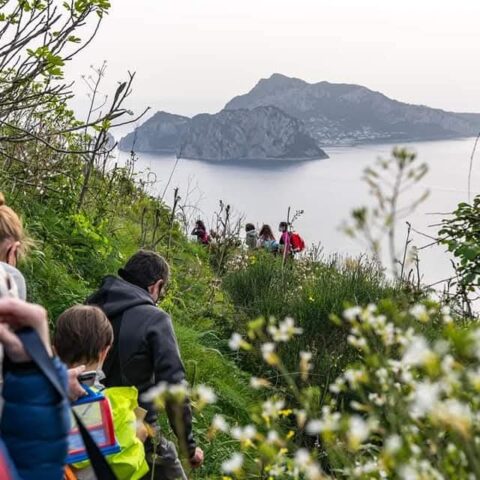 Escursionisti durante la City Nature Challenge a Punta Campanella, in Campania
