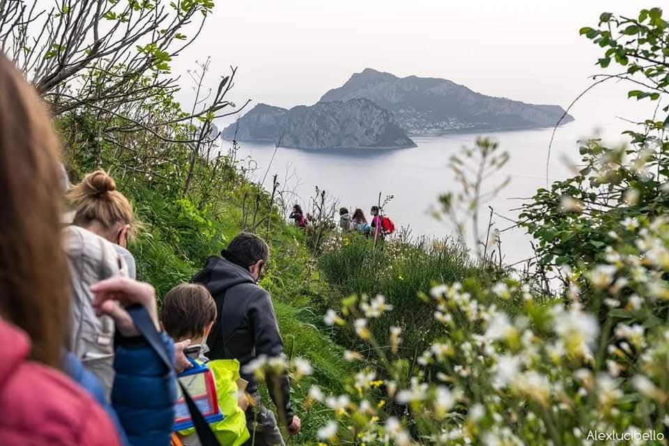 Escursionisti durante la City Nature Challenge a Punta Campanella, in Campania