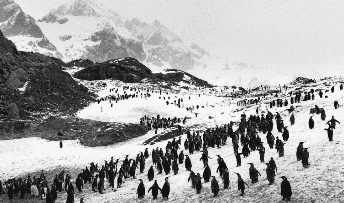 Ghiacciai – Sebastião Salgado/Contrasto