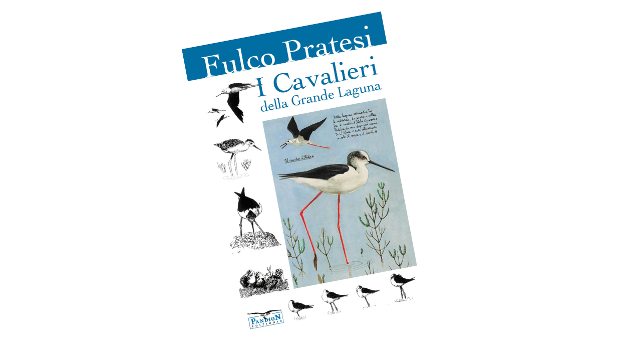 i cavalieri della grande laguna