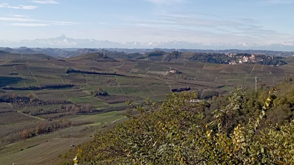 Il dolce abbraccio della Strada Romantica: Il paesaggio del Roero da Magliano Alfieri (Cn).