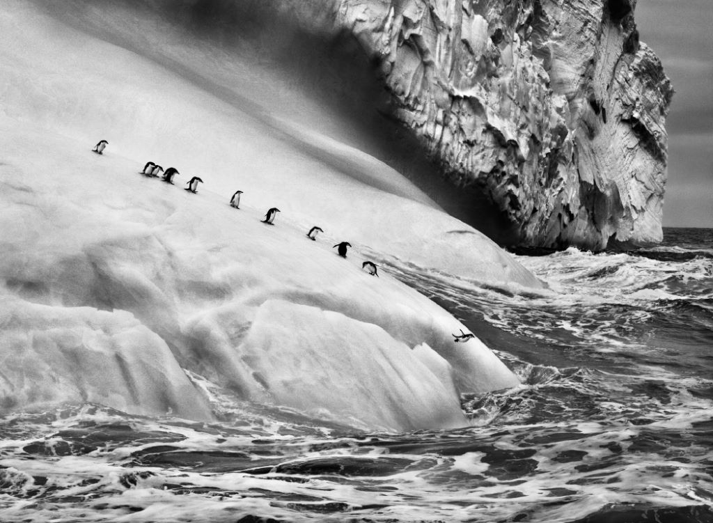 Sebastião Salgado, Isole South Sandwich