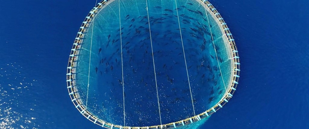 "Breath", il docufilm che racconta la bellezza e la sofferenza del mare: una rete da pesca inquadrata dall'alto