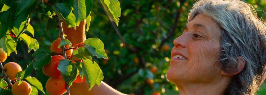 Fabio Brescacin, 40 anni di biologico: una donna coglie frutti dall'albero, Azienda Agricola La Fontanazza, Forlì