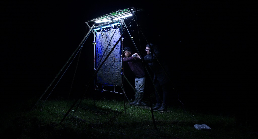 La magia di "Nocturnes" illumina Cinemambiente: u due ricercatori durante l'attività di osservazione delle farfalle