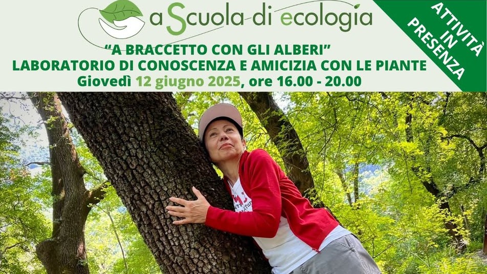 laboratorio A braccetto con gli alberi