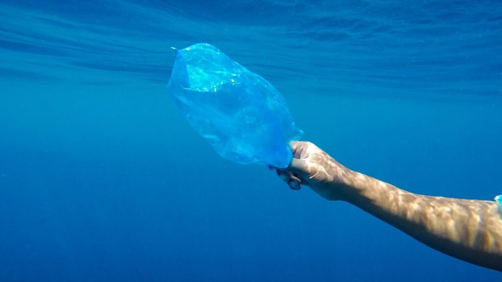 L’oceano, il nostro futuro. Gli impegni da Nizza per la vita sott’acqua: immagine concettuale sul problema della plastica in mare