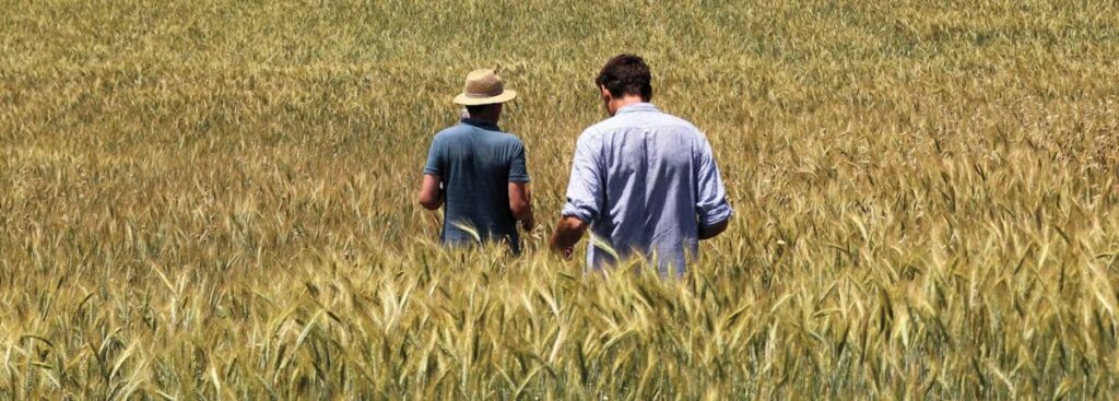 Fabio Brescacin, 40 anni di biologico: due uomini in un campo di grano