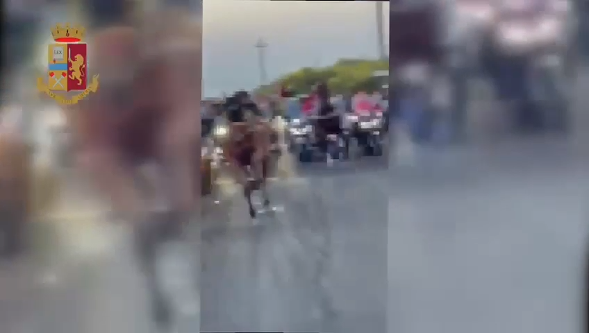 Corse clandestine di cavalli a Catania, 202