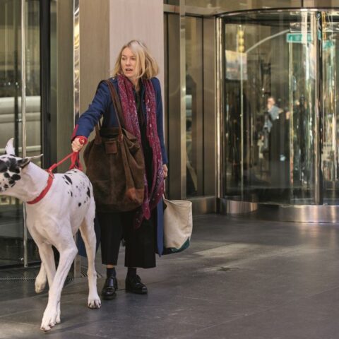 Naomi Watts e Bing sul set di "The friend"