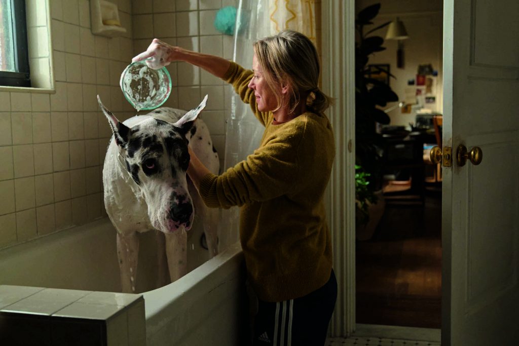 L'amico fedele: Naomi Watts il cane Bing