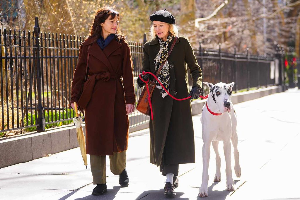 L'amico fedele: Naomi Watts con Apollo al parco