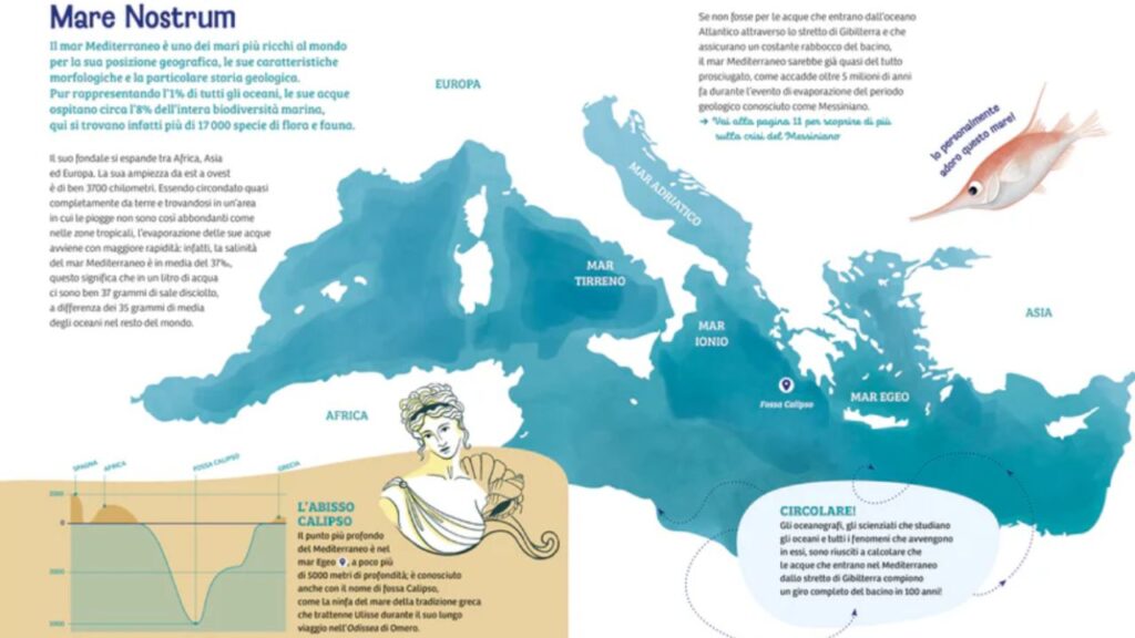 Emilia Fulgido, "Cronache del Mediterraneo"