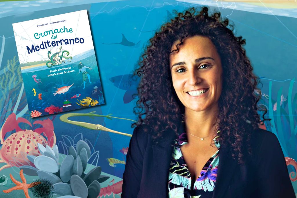 Cronache dal Mediterraneo