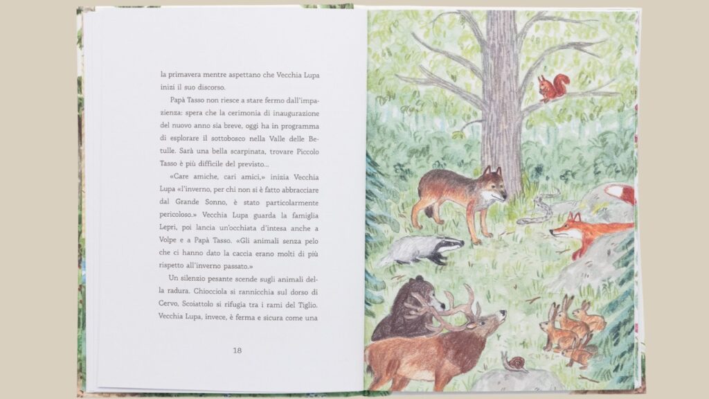 Il tasso e la bambina: pagine del volume