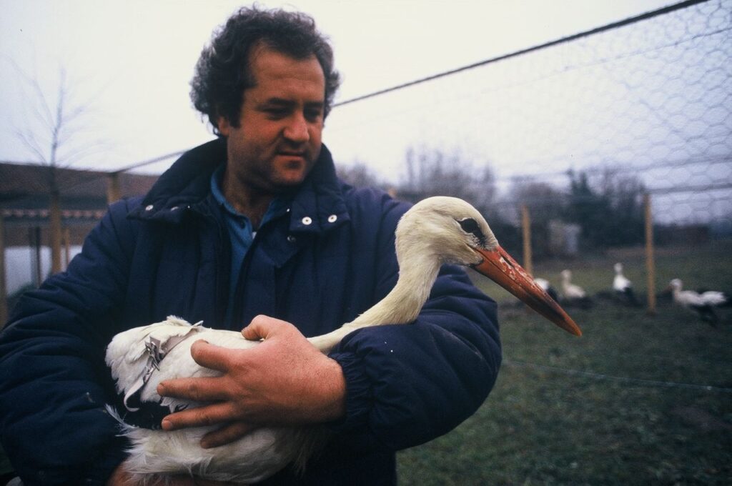 Bruno Vaschetti con la prima cicogna