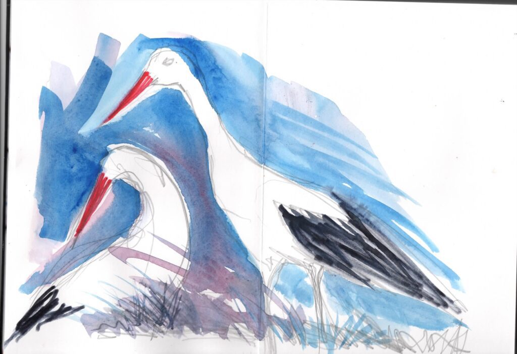 Bruno Piero Vaschetti, quarant'anni per le cicogne: un'illustrazione di Fabrizio Carbone