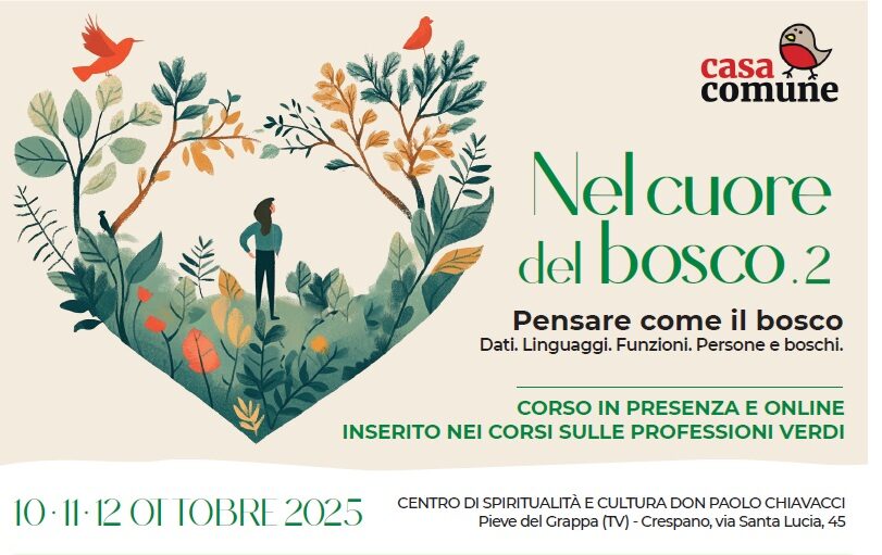 Nel cuore del bosco, Casacomune