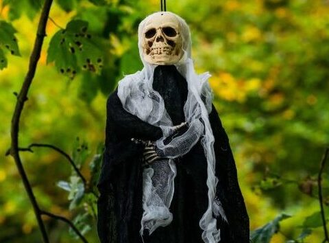 Uno scheletro di Halloween appeso in un bosco scozzese.