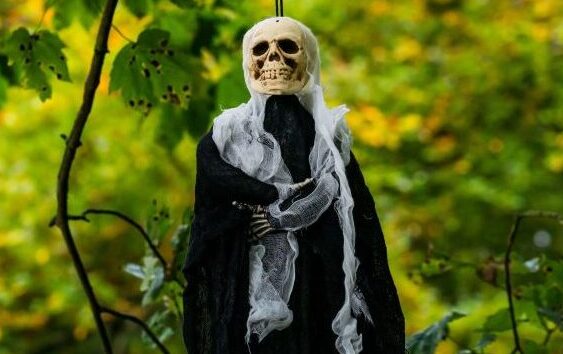 Uno scheletro di Halloween appeso in un bosco scozzese.