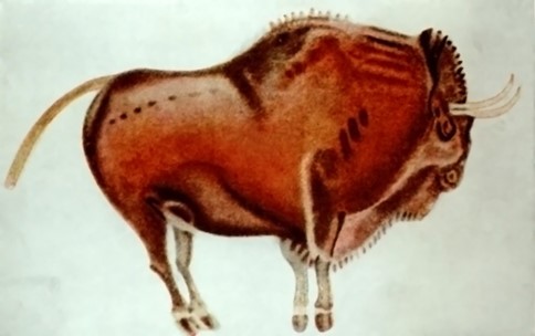 Fragile come un bisonte: Il calco di uno dei bisonti raffigurati nella grotta di Altamira, in Spagna 