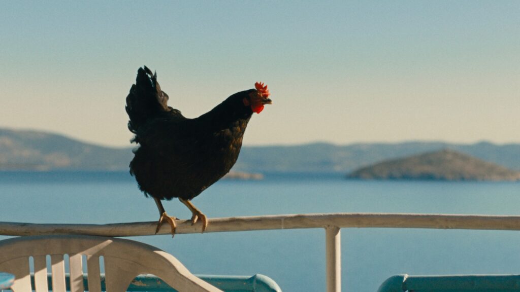 Un fotogramma di "Hen"