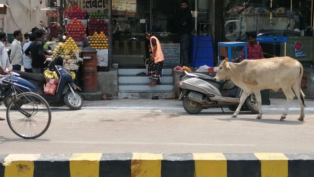 Una strada nella città di Varanasi, nello stato dell'Uttar Pradesh