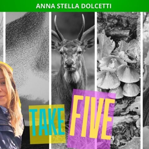Cinque fenomeni dell'autunno che dovete conoscere: immagine decorativa