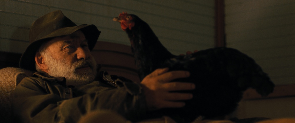 Hen, la gallina che sfidò il destino
