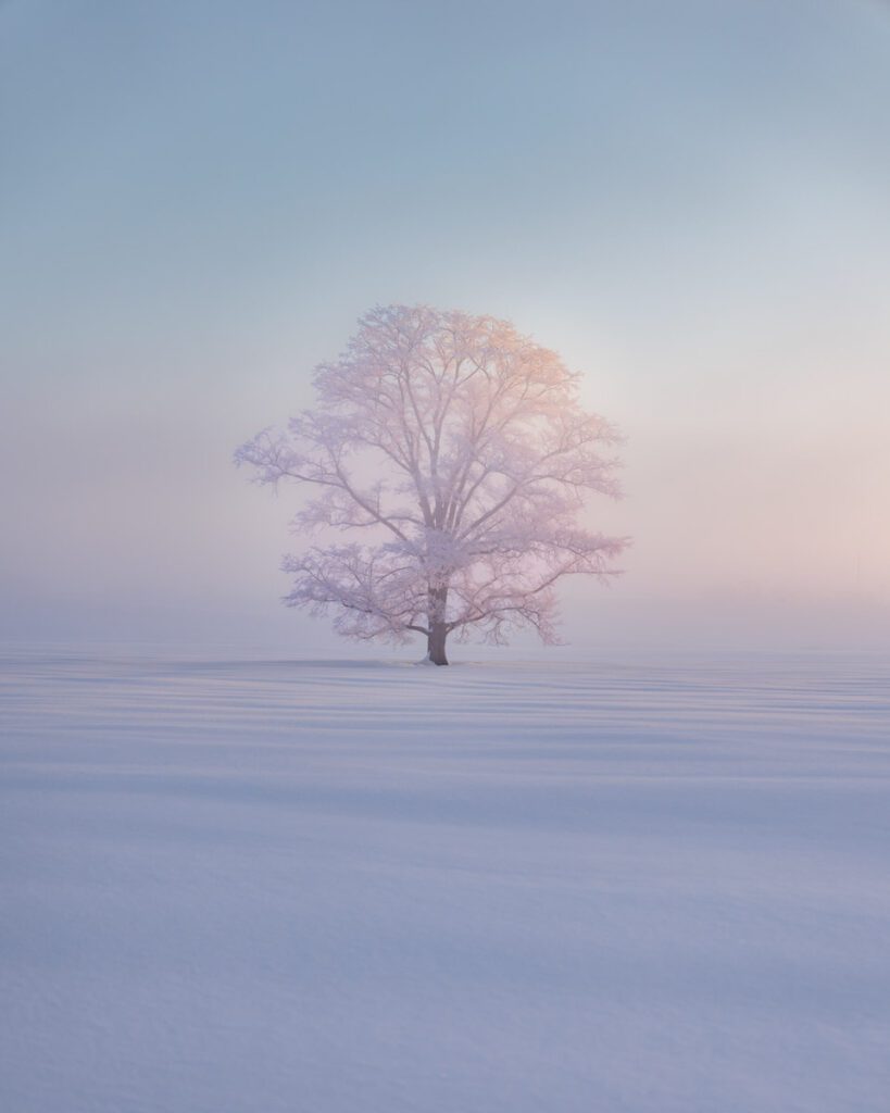 A-Whisper-Of-Light.-©-Kung-Fu_Li-vincitore-The-Snow-Ice-Award-2025