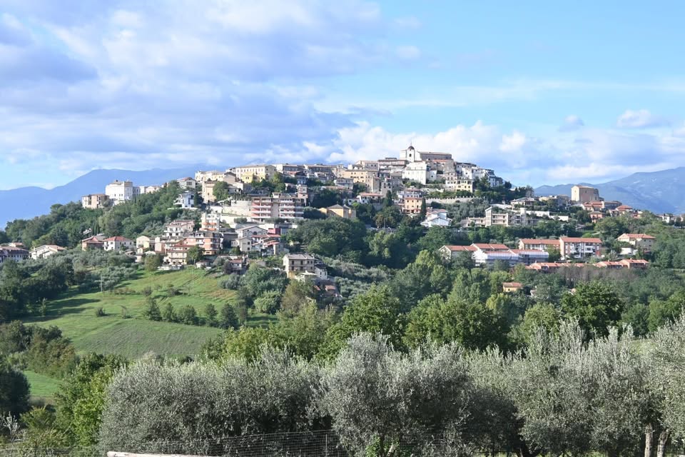 Comune di Ripi (Fr), Facebook