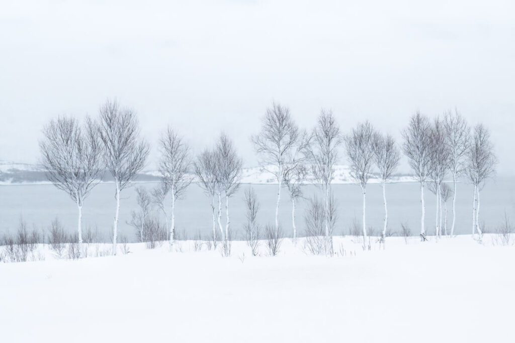 Winter-Meditations.-©-J.-Fritz-Rumpf-vincitore-International-Landscape-Photographer-of-the-Year-2025