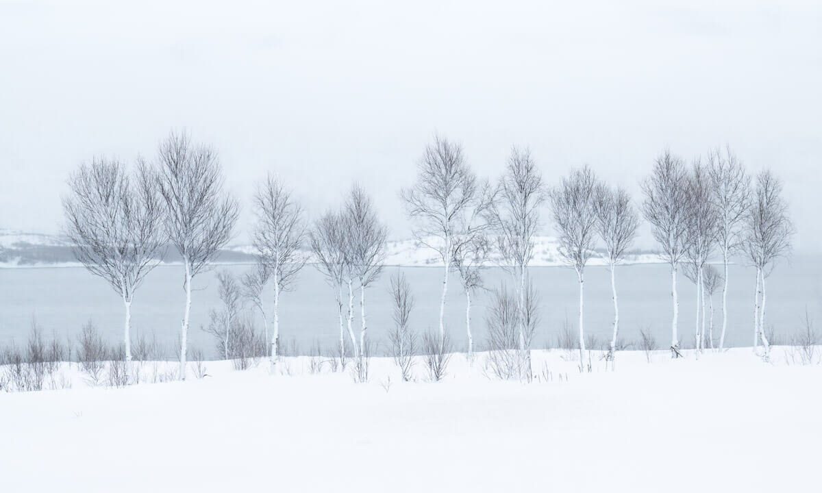 Winter-Meditations.-©-J.-Fritz-Rumpf-vincitore-International-Landscape-Photographer-of-the-Year-2025