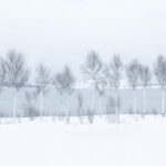 Winter-Meditations.-©-J.-Fritz-Rumpf-vincitore-International-Landscape-Photographer-of-the-Year-2025