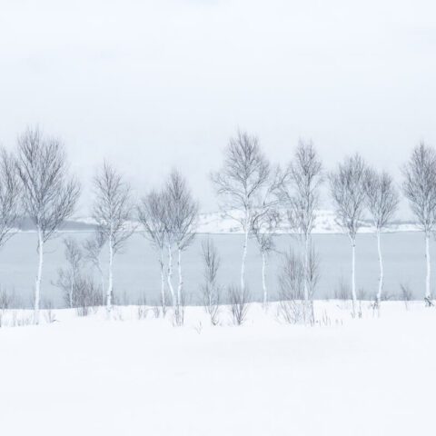 Winter-Meditations.-©-J.-Fritz-Rumpf-vincitore-International-Landscape-Photographer-of-the-Year-2025