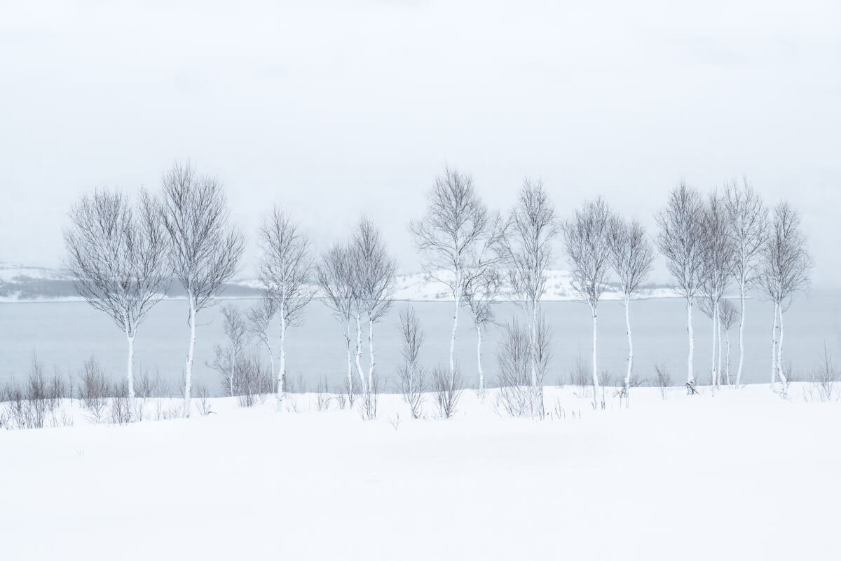 Winter-Meditations.-©-J.-Fritz-Rumpf-vincitore-International-Landscape-Photographer-of-the-Year-2025