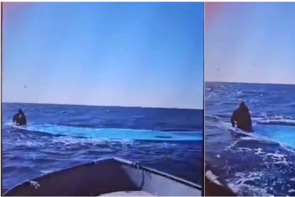 Migranti, 116 morti al largo della Libia: Lo screenshot del video ricevuto da Alarm Phone con l'unico sopravvissuto al naufragio