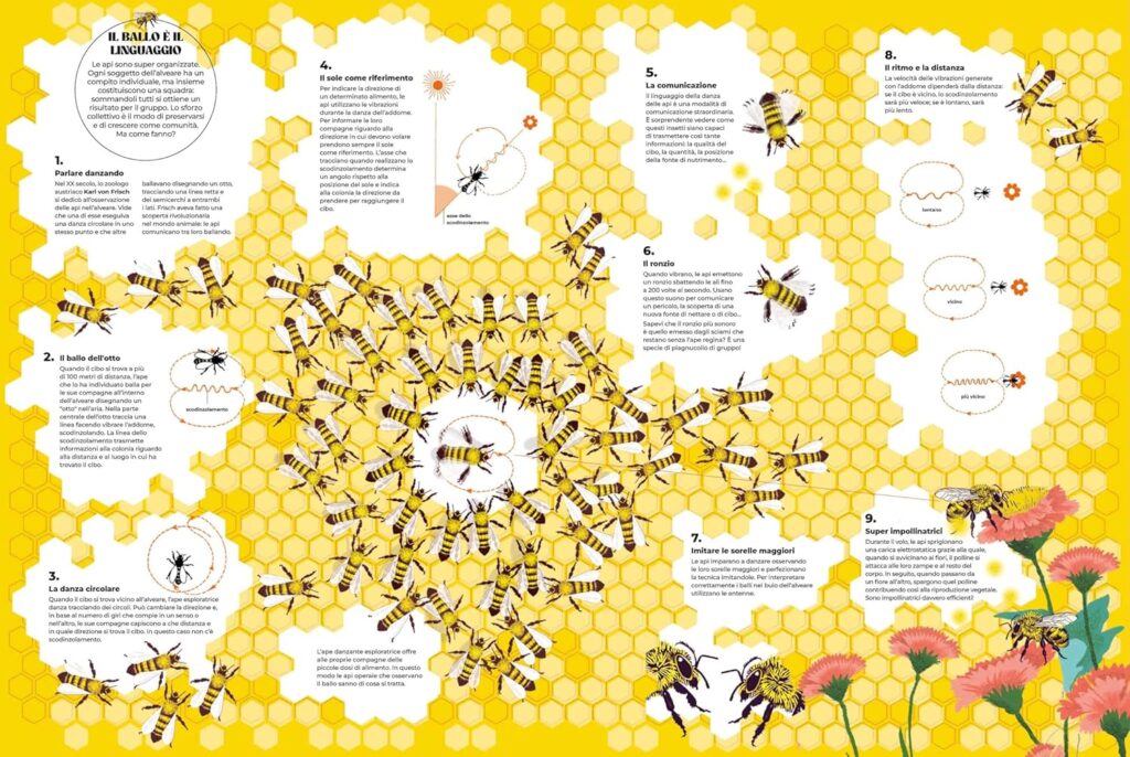 Coreografie animali, Núria Solsona ci racconta la magia dei movimenti collettivi: due pagine del libro