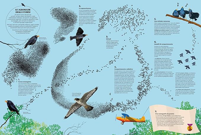 Coreografie animali, Núria Solsona ci racconta la magia dei movimenti collettivi: due pagine del libro