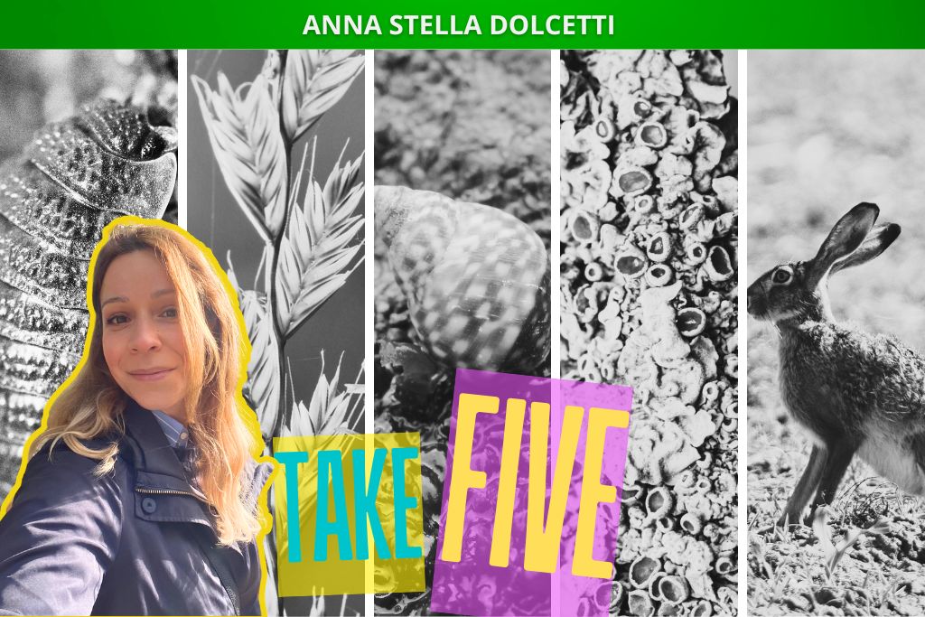 Take five: le specie sentinella