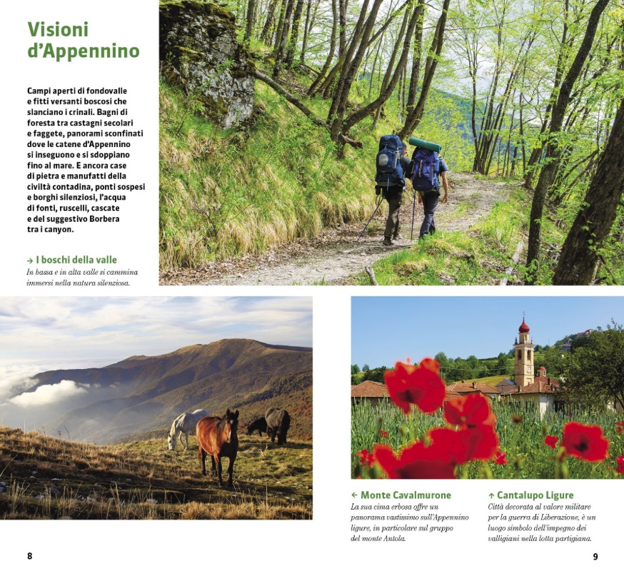Il cammino dei ribelli: pagine del libro