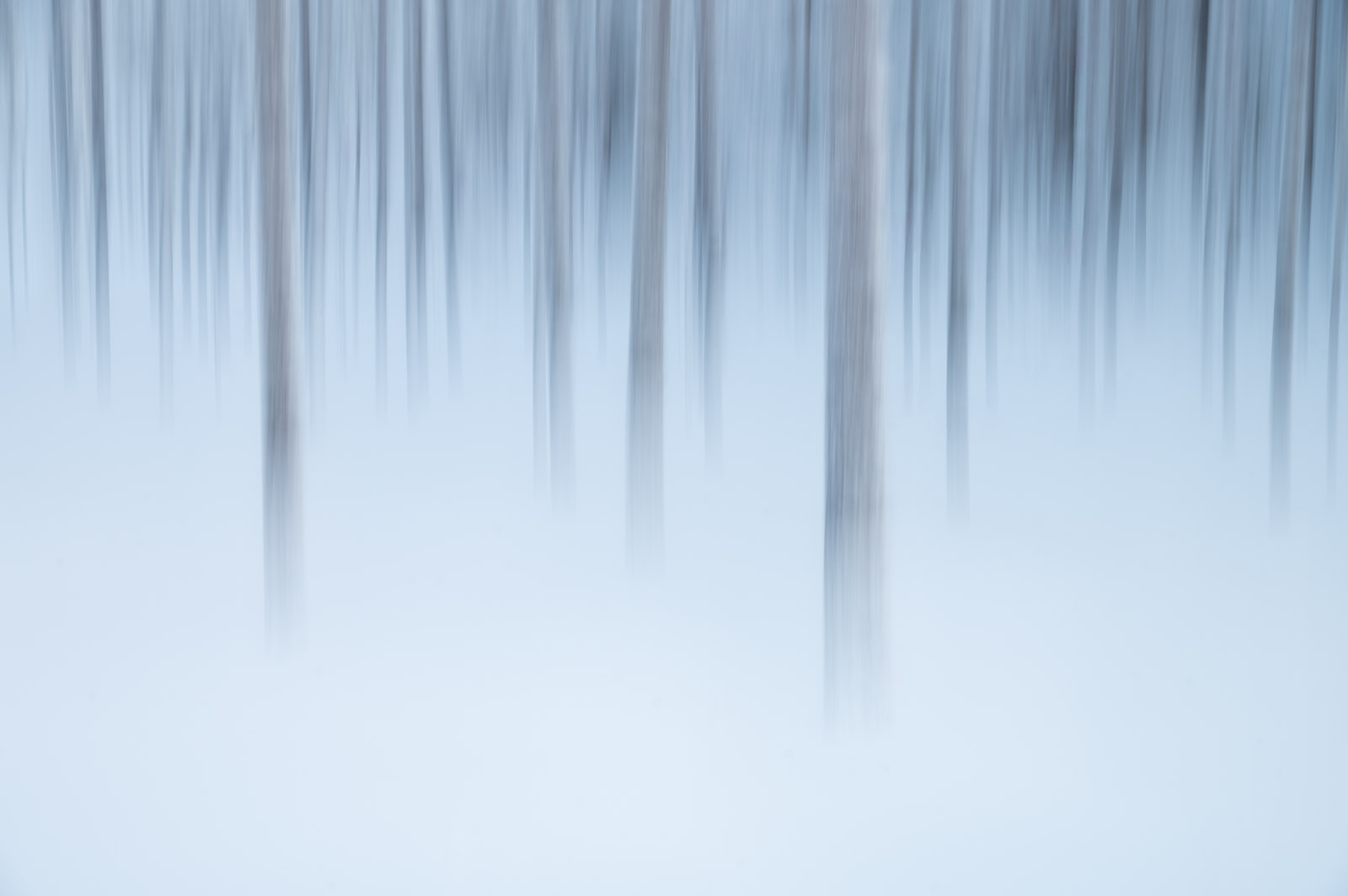 Finlandia. Foto: Andrea Zampatti
