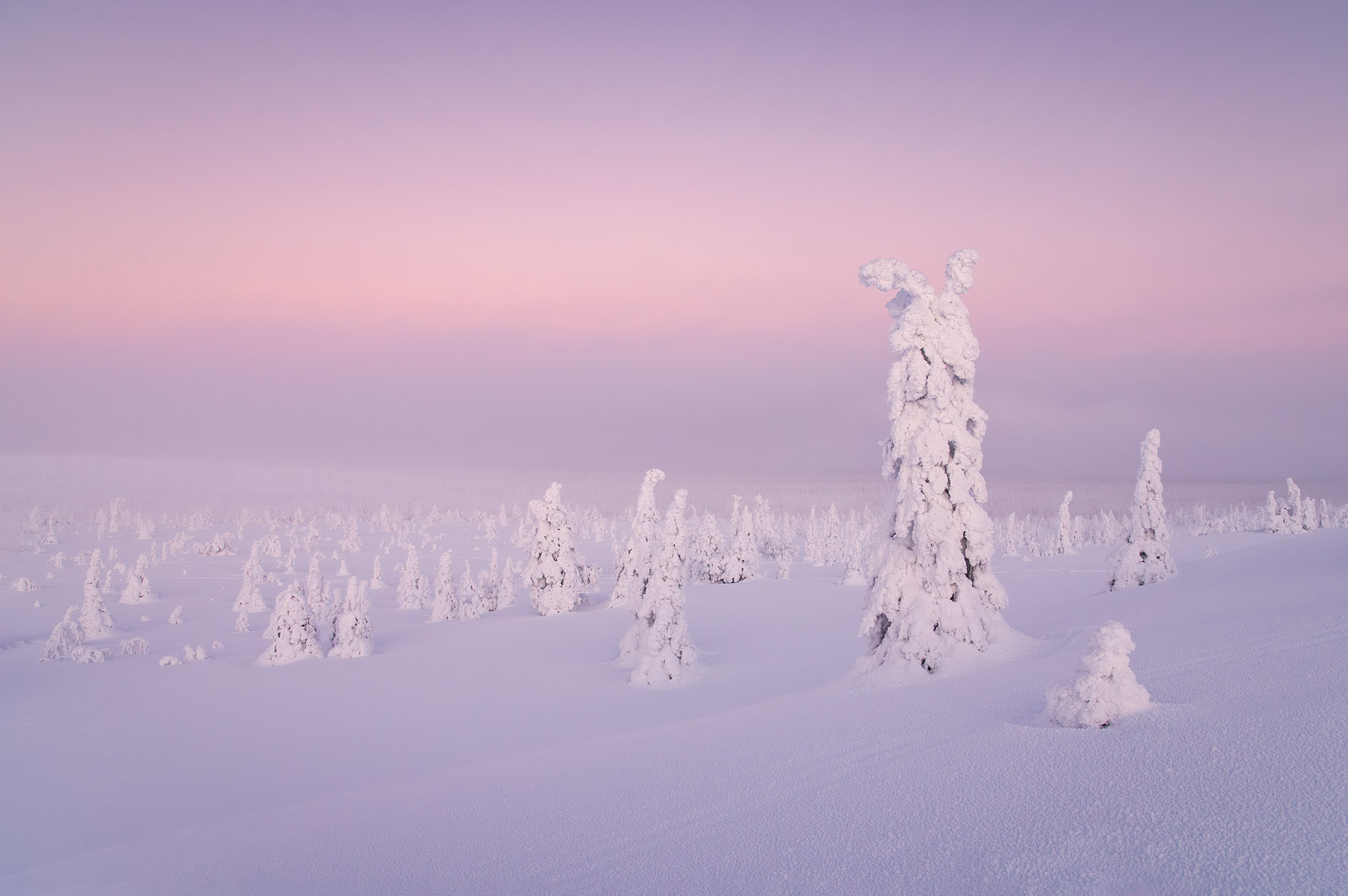 Finlandia. Foto: Andrea Zampatti