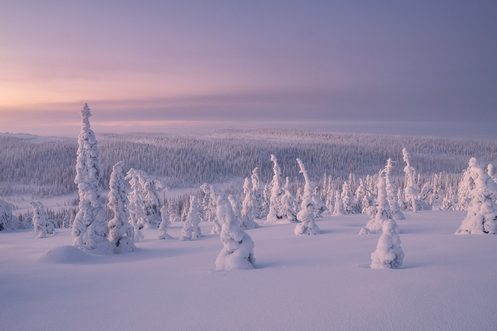 Finlandia. Foto: Andrea Zampatti