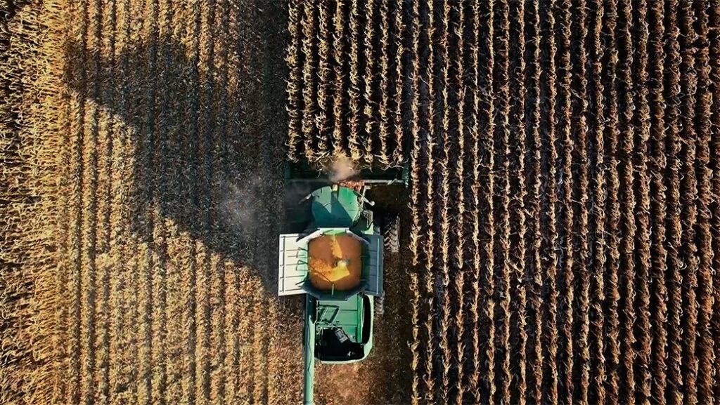 Un fotogramma dal documentario "How to feed the planet"