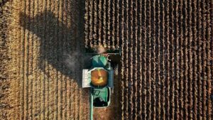 Un fotogramma dal documentario "How to feed the planet"