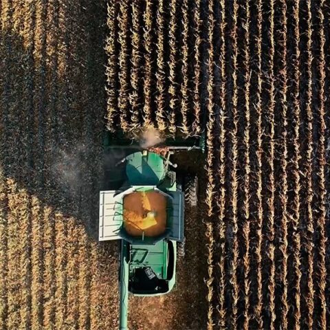 Un fotogramma dal documentario "How to feed the planet"