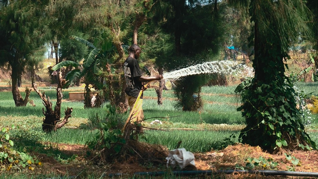 Un agricoltore in Senegal. Da "How to feed the planet" (Italia, 2026) 